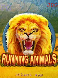 Tudo Sobre o Jogo RunningAnimals: Descrição, Introdução e Regras